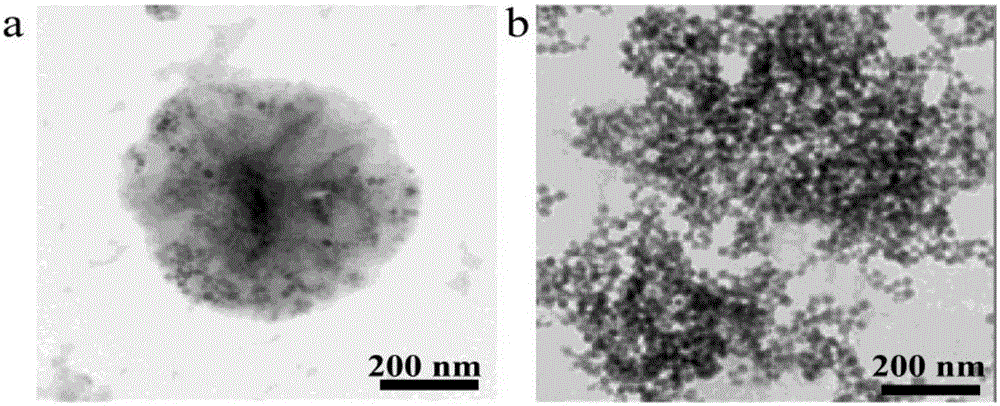 A kind of preparation method of Prussian blue cube/molybdenum disulfide nanocomposite material