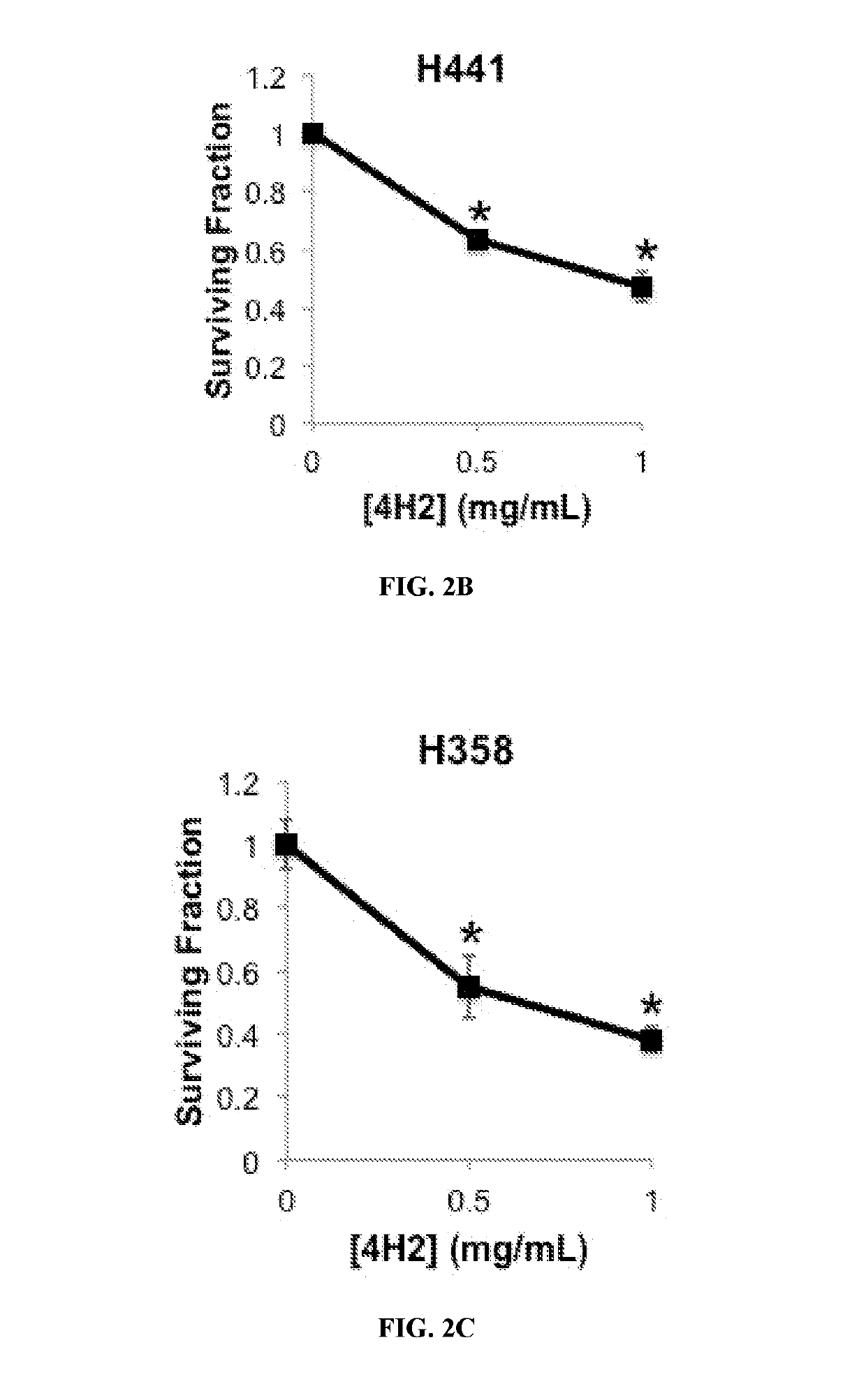 Anti-guanosine antibody as a molecular delivery vehicle