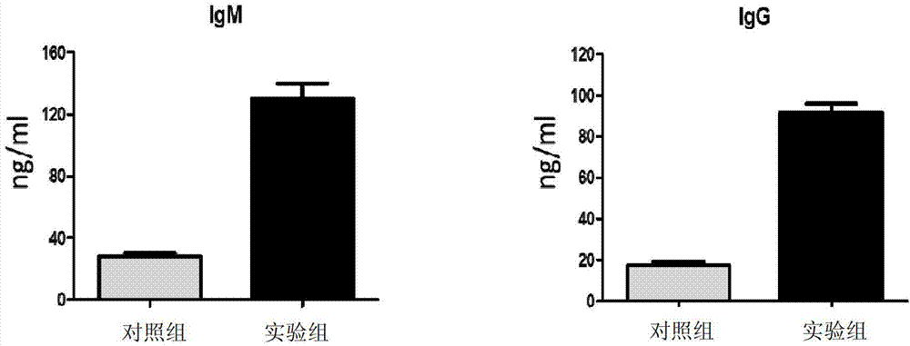 Method for preparing plasmocyte and plasmocytes obtained by method