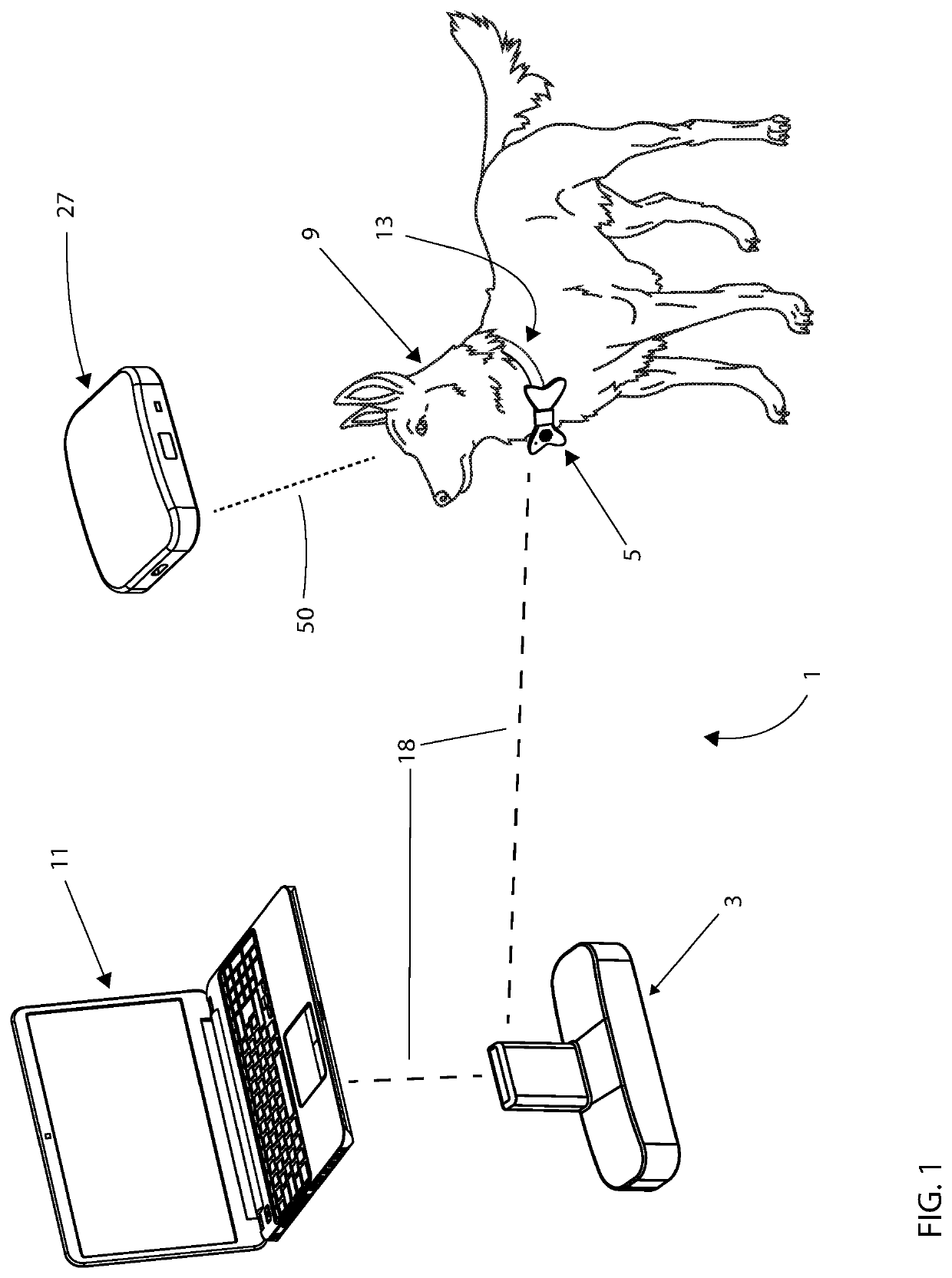 Animal Caretaking System with an Animal-Mounted Audio Player Device