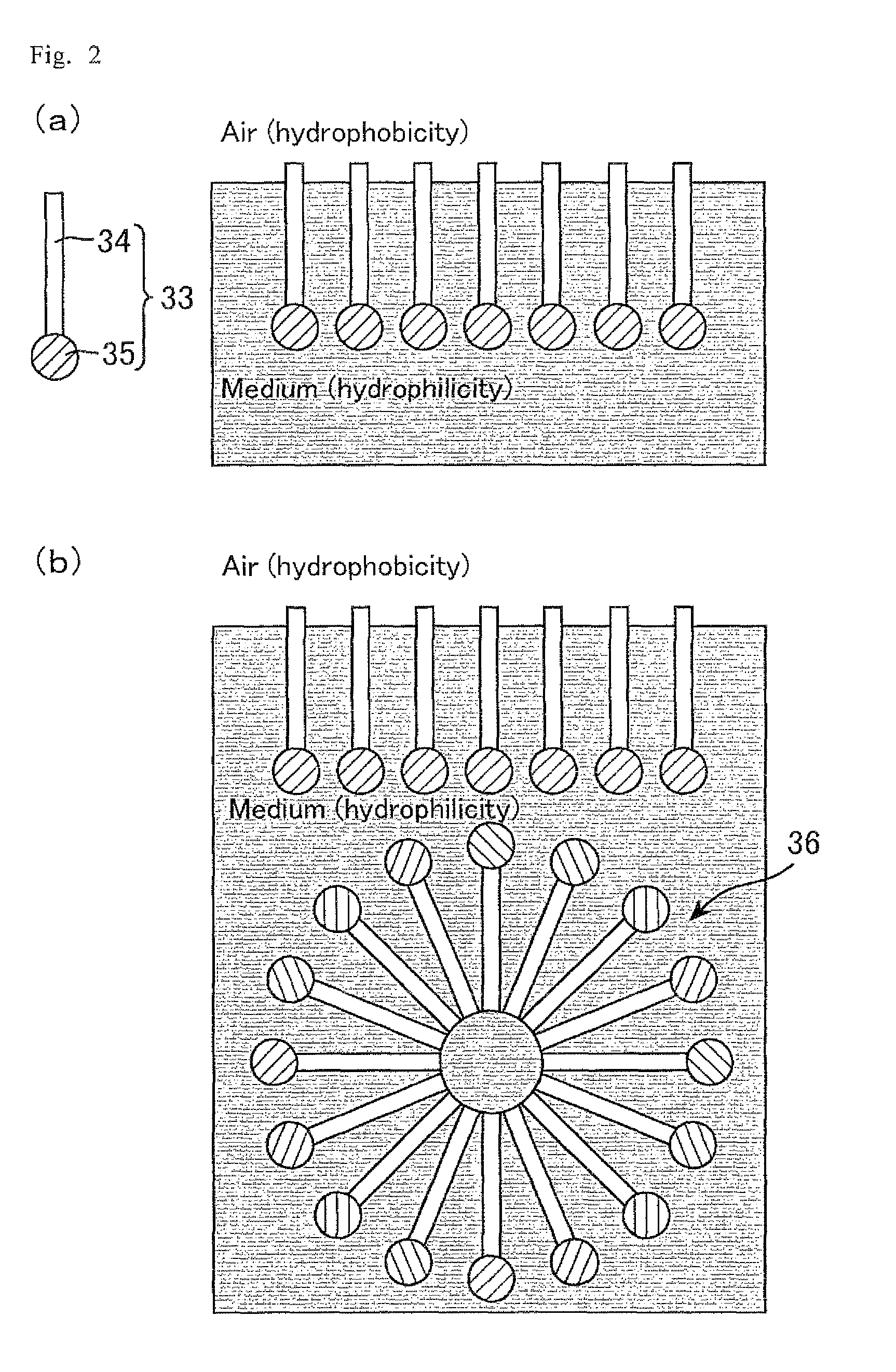 Composition for forming a liquid crystal alignment film, and liquid crystal display device