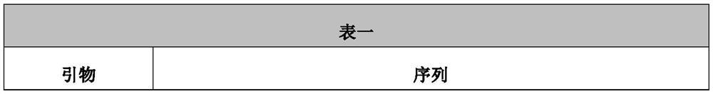 The strong promoter derived from the cohesin bacteria and its plasmid vector and application