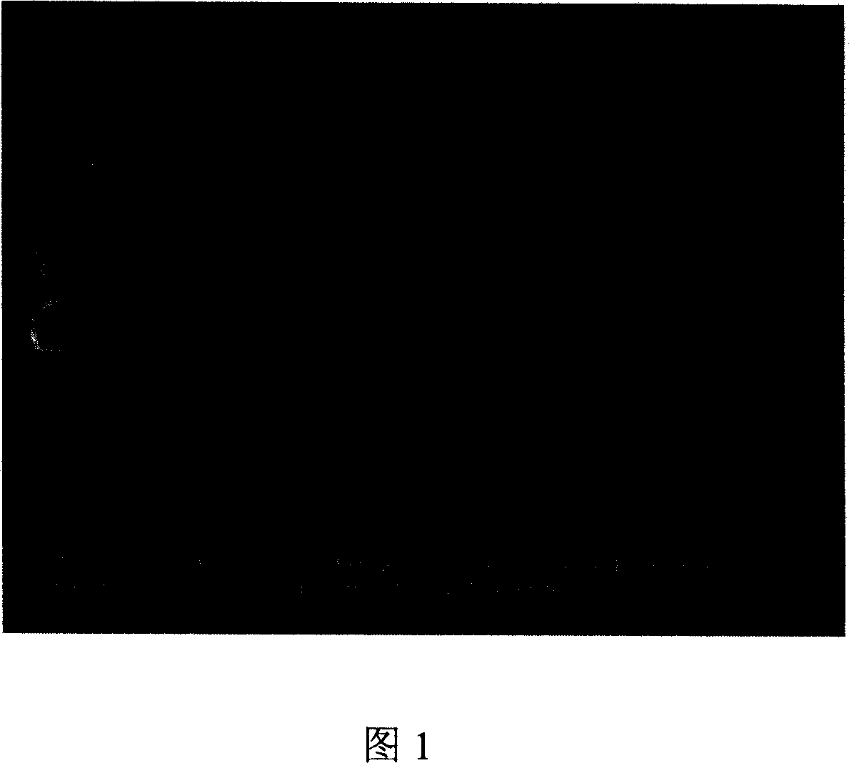 Process of preparing nanometer hexagonal oxide sheet