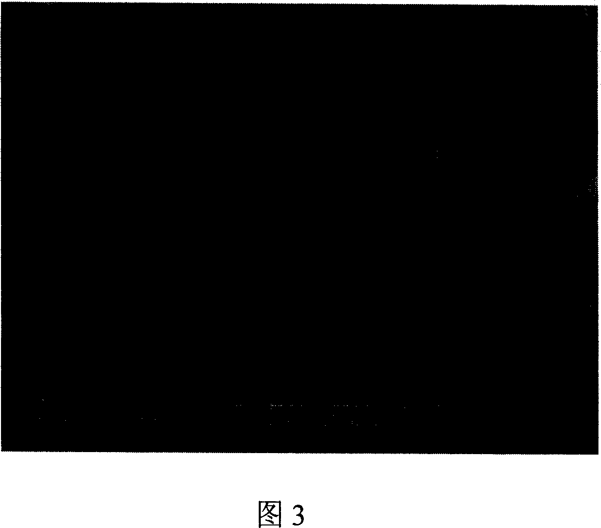 Process of preparing nanometer hexagonal oxide sheet