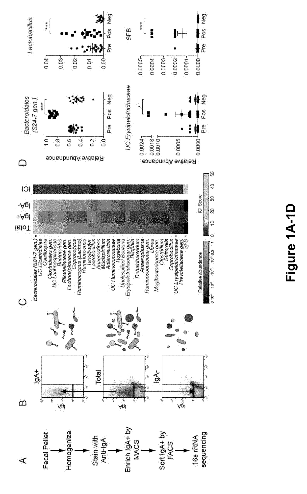 Compositions and Methods for Treating an Inflammatory Disease or Disorder