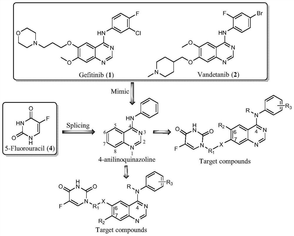 5-fluorouracil spliced 4-aniline quinazoline compound as well as preparation method and application thereof