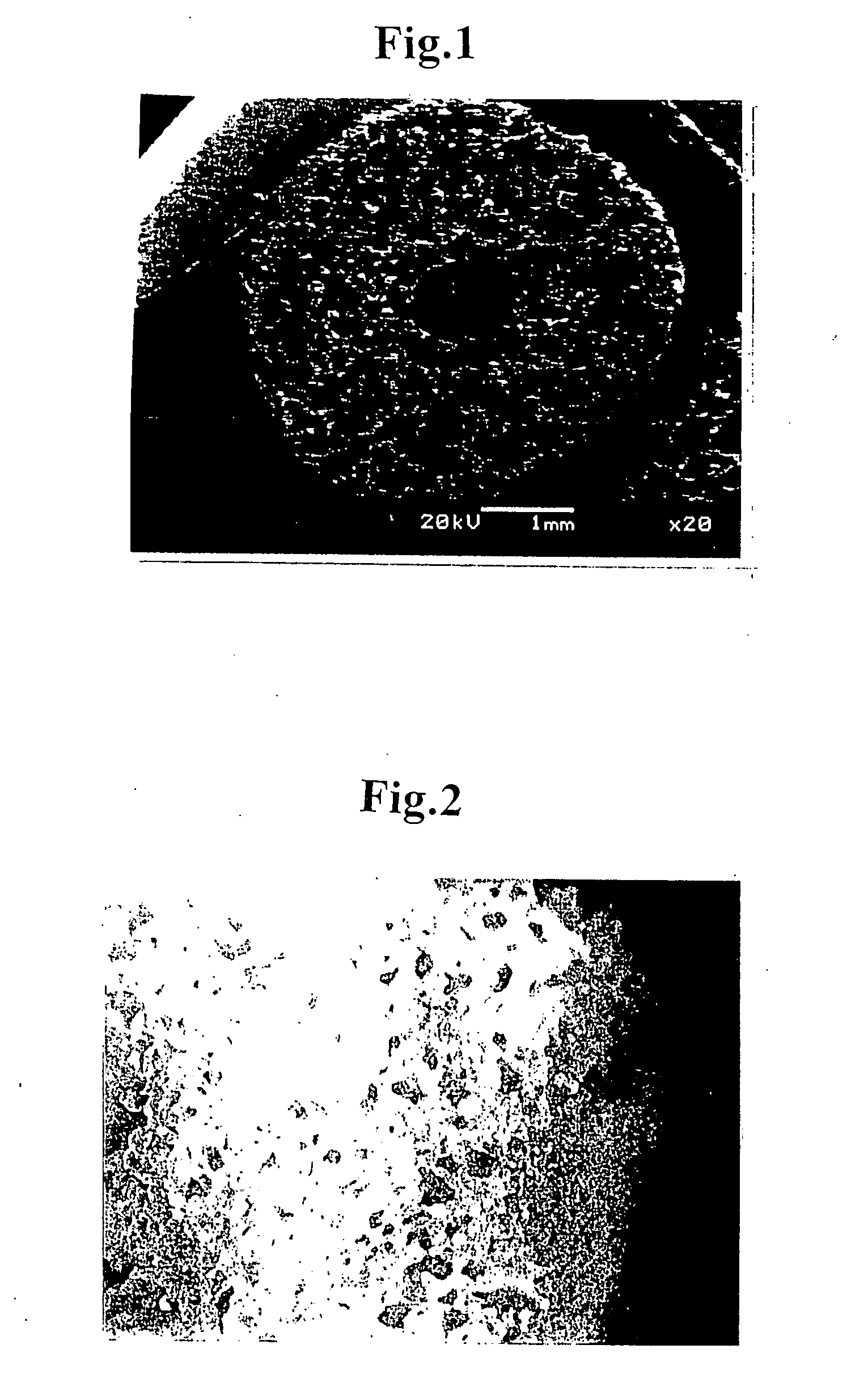 Scaffold for tissue engineering, artificial blood vessel, cuff, and biological implant covering member