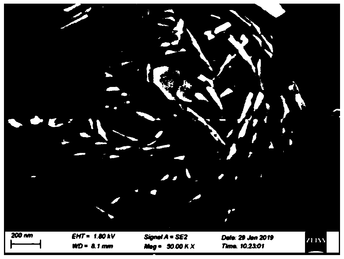 Preparation method of flaky iron phosphate dihydrate