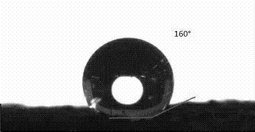 Polyurethane foam and preparation method and application thereof