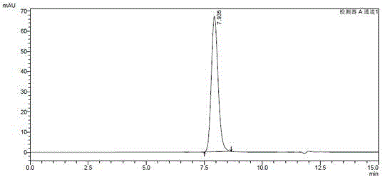 Recombinant virus-like particle (VLP) of human papilloma virus type 31 (HPV31) and preparation method thereof