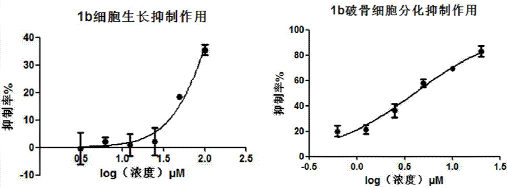 Application of thiazole amide derivative in preparation of anti-osteoporosis drugs