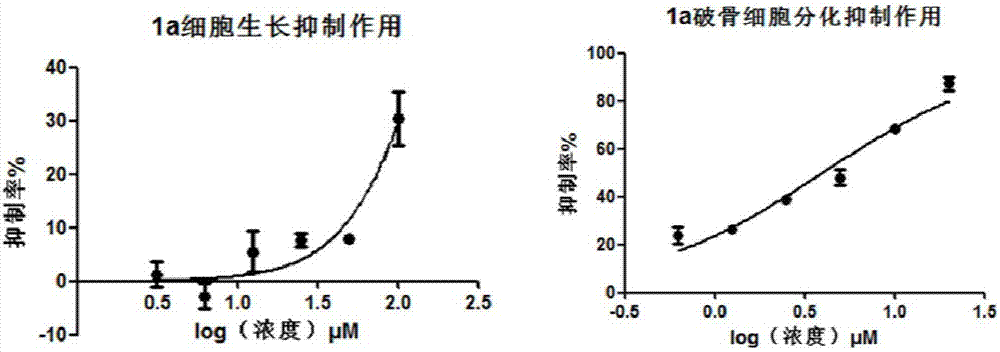 Application of thiazole amide derivative in preparation of anti-osteoporosis drugs