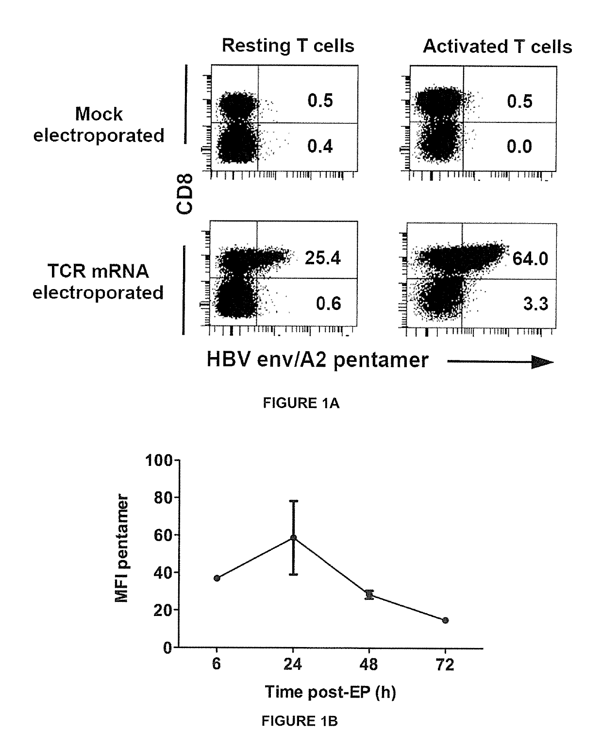 Non-activated t cells expressing exogenous virus-specific t cell receptor (TCR)