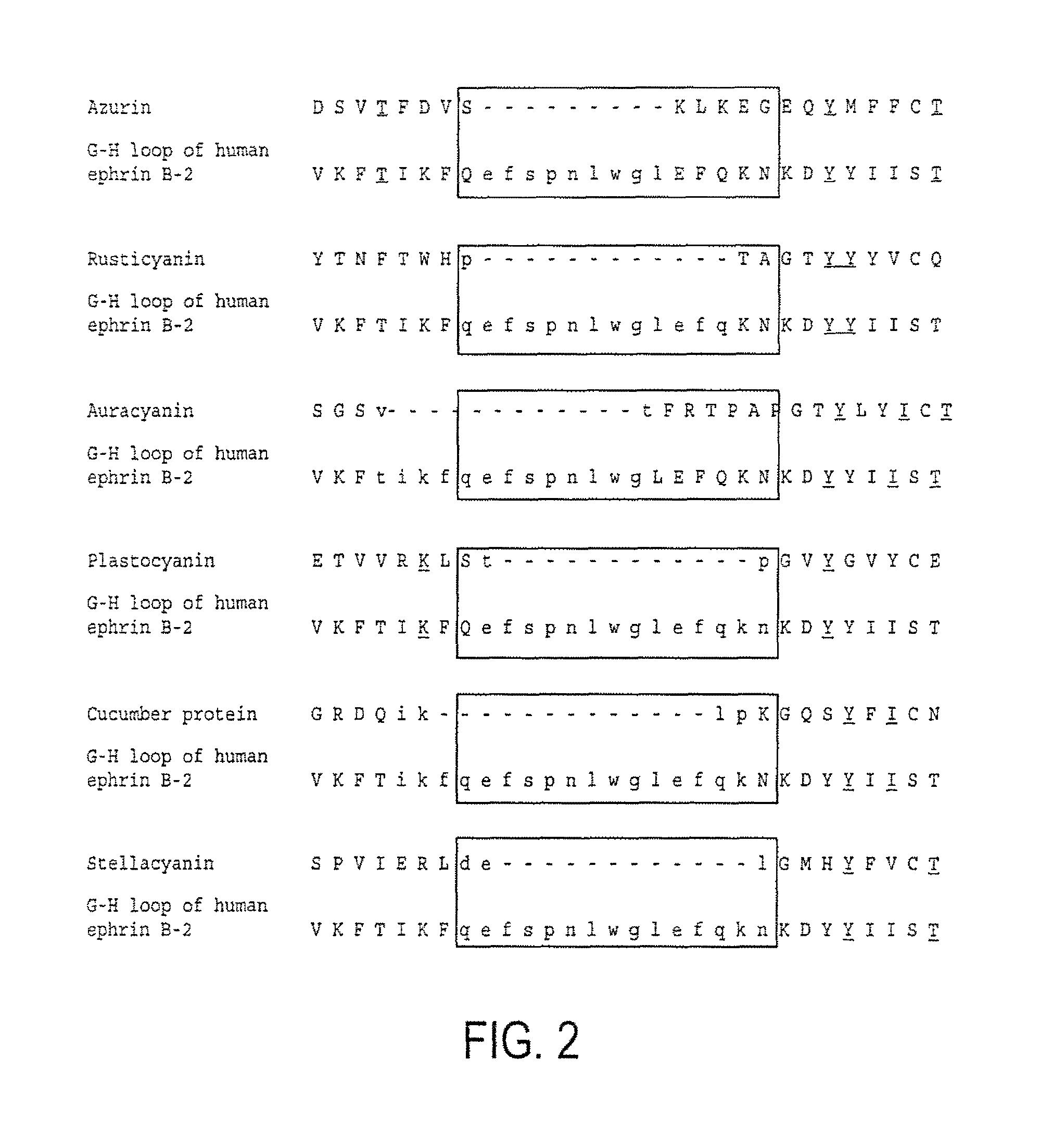 Compositions and methods for treating conditions related to ephrin signaling with cupredoxins and mutants thereof