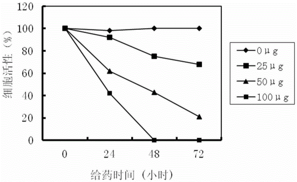 New application of pyrimethamine and medicinal composition for treating for tumor