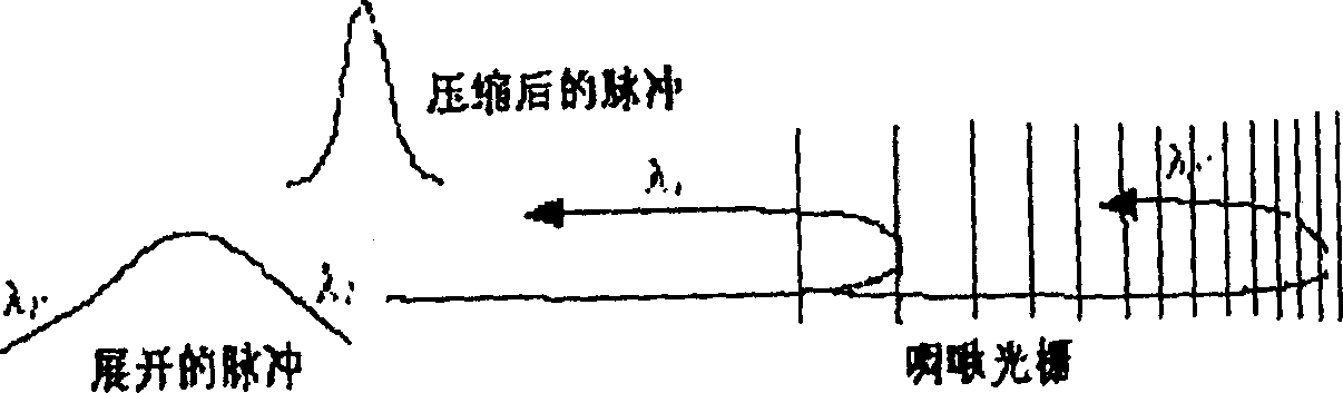 Multi-wavelength dispersion/dispersion slope compensator and its making method