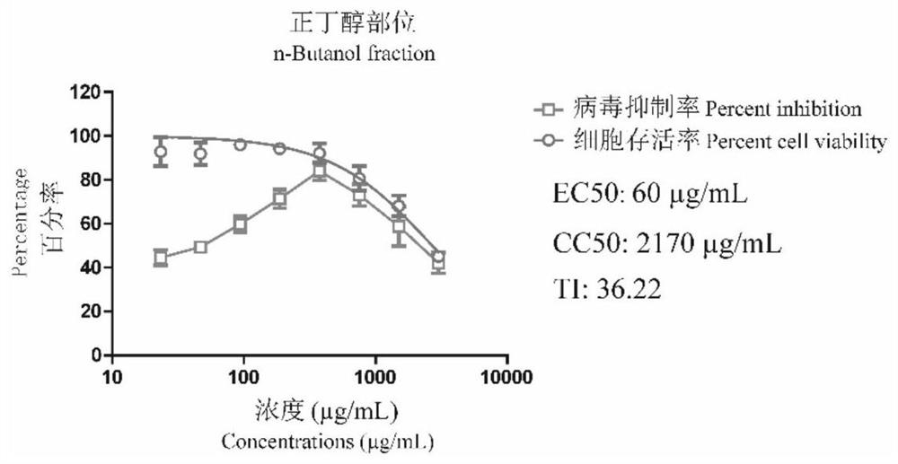 In-vivo and in-vitro anti-RSV (Respiratory Syndrome Virus) licorice root effective part as well as preparation method and application thereof