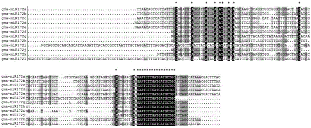 Method for cultivating transgenic plants with blooming ahead of time