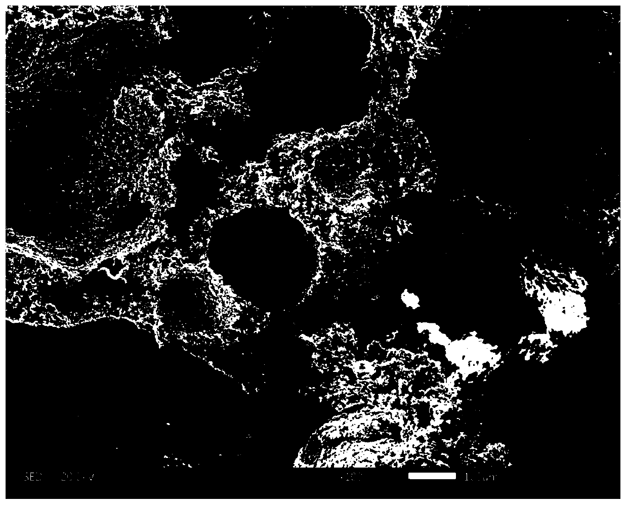 Calcium phosphate cement containing decalcified bone matrix, and preparation method and applications thereof