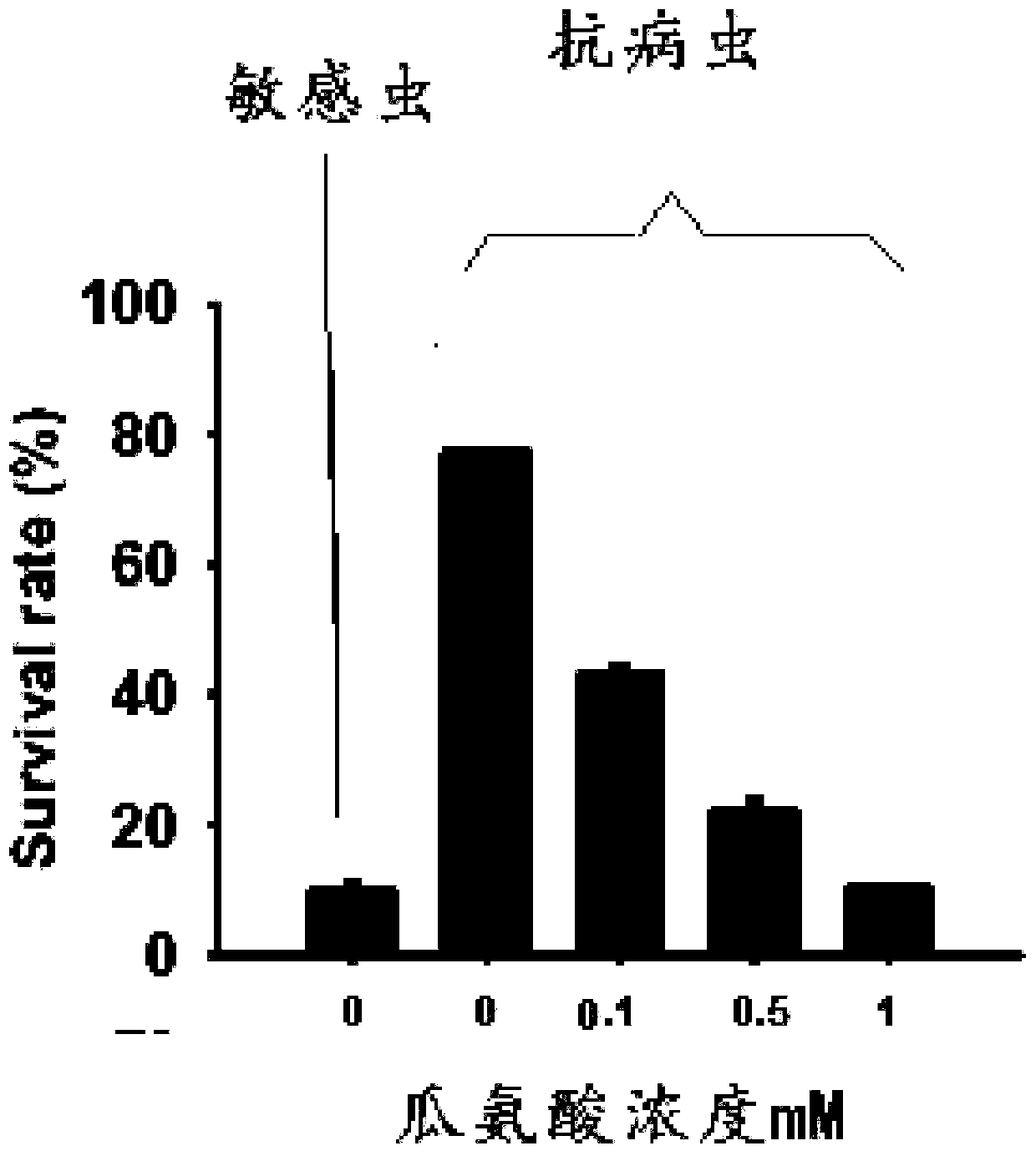 Biological insecticide for control of brown rice planthopper and control method