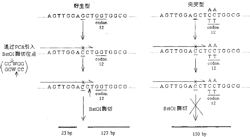 Detection probe of kRas gene mutation, liquid phase chip and detection method thereof