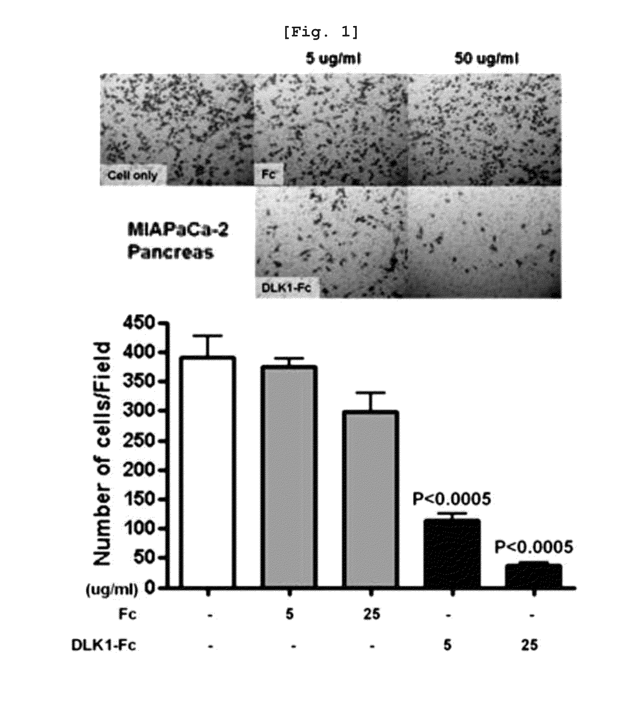 Activin Receptor Type II B Inhibitors Comprising DLK1 Extracellular Water-Soluble Domain