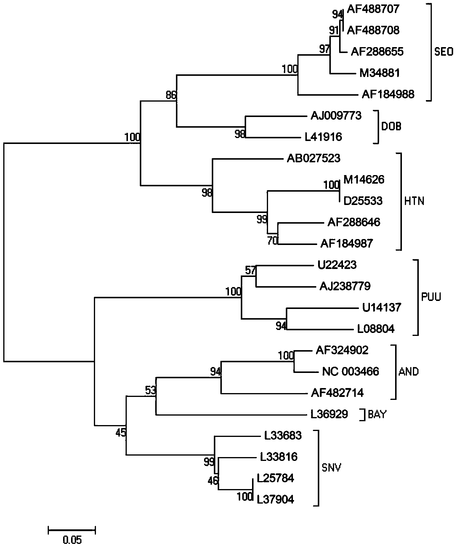 Primer, kit and method for conducting genetic typing on hantavirus by means of PCR direct sequencing method