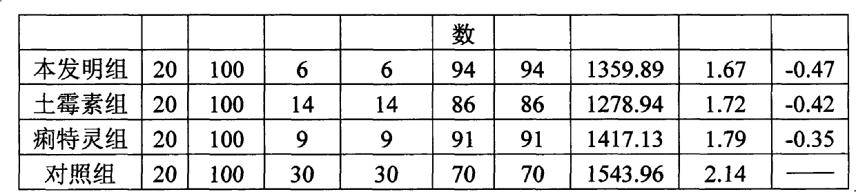 Traditional Chinese medicine composition for treating pullorum disease and preparation method thereof