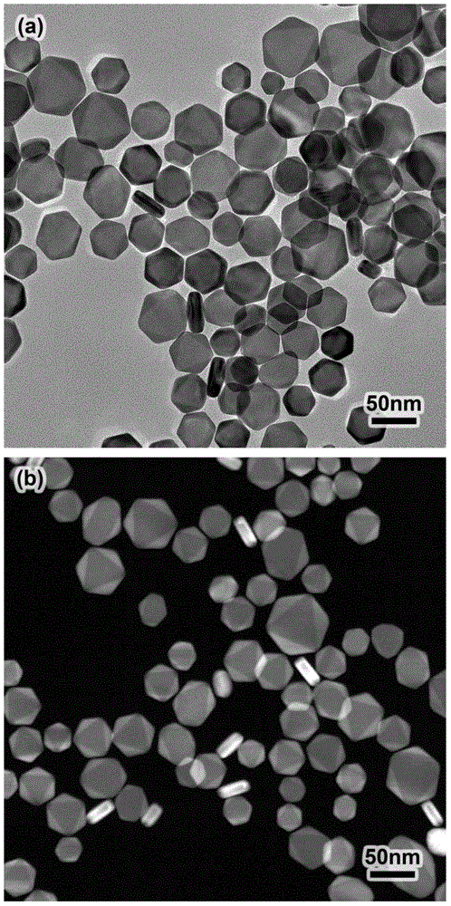 Core-shell-structure silver-gold nanosheet based on epitaxial growth and preparation method and application thereof