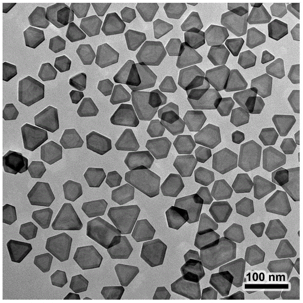 Core-shell-structure silver-gold nanosheet based on epitaxial growth and preparation method and application thereof