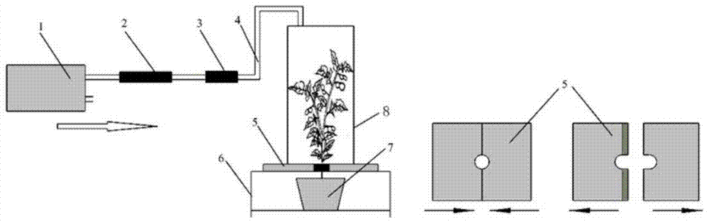 A prediction method of mechanical damage degree of tea tree based on electronic nose