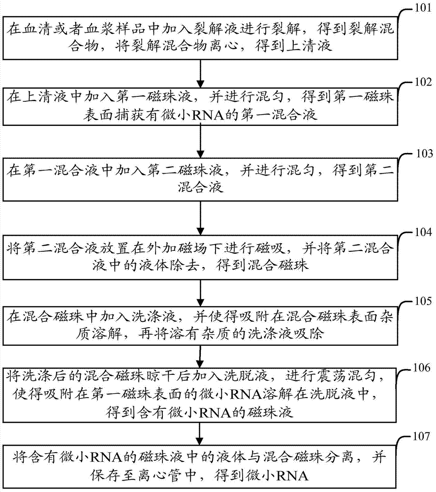 Kit and extraction method for extracting micro ribonucleic acid (RNA)