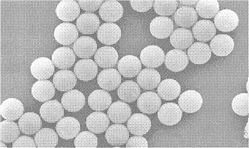 Magnetic fluorescent microspheres and preparation method thereof