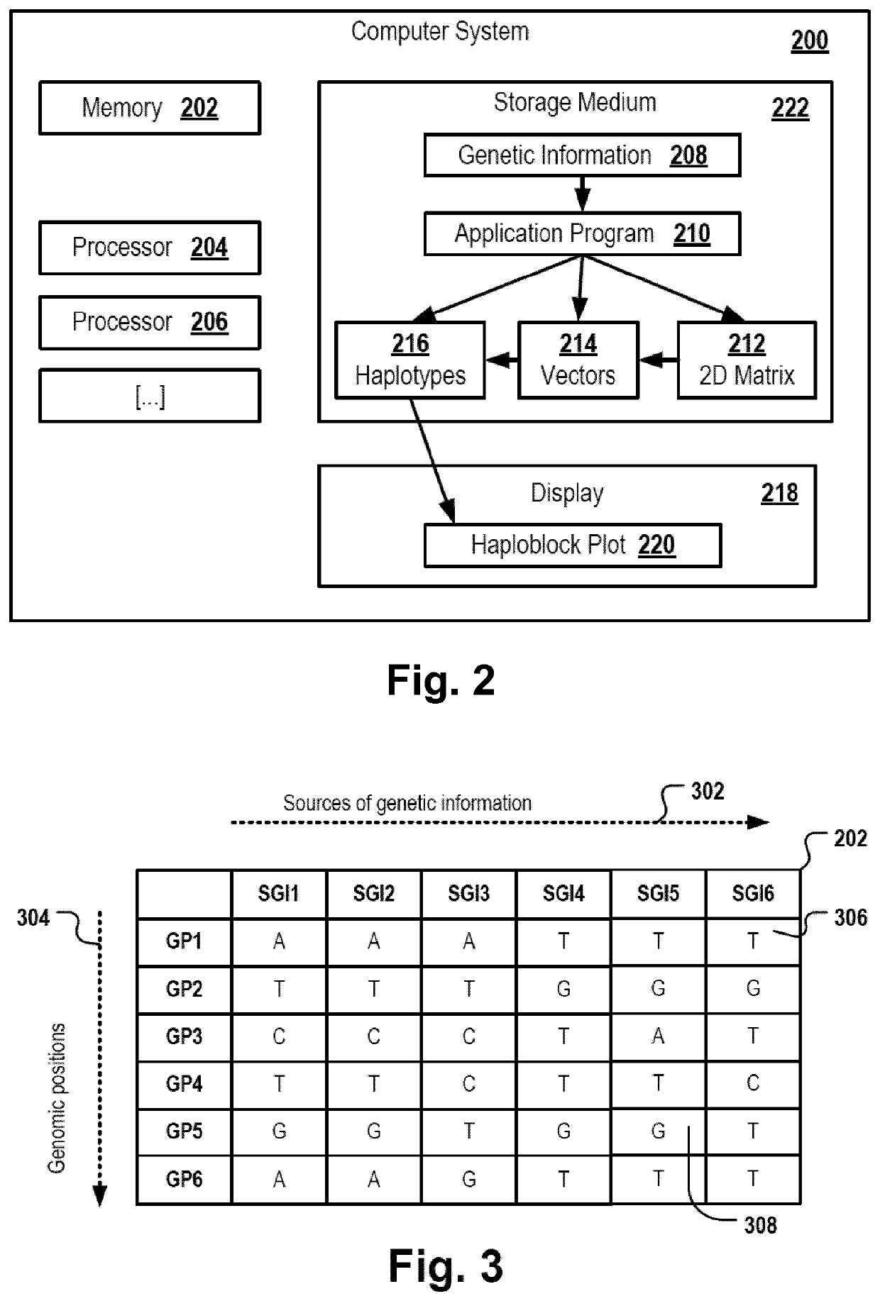 Vector-based haplotype identification