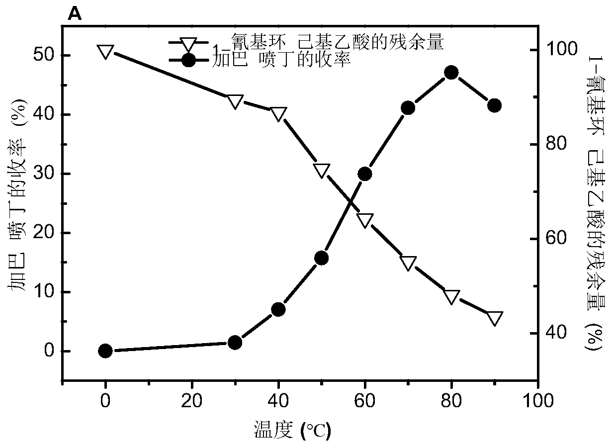 Utilize the method for directly synthesizing gabapentin with 1-cyano cyclohexyl acetic acid