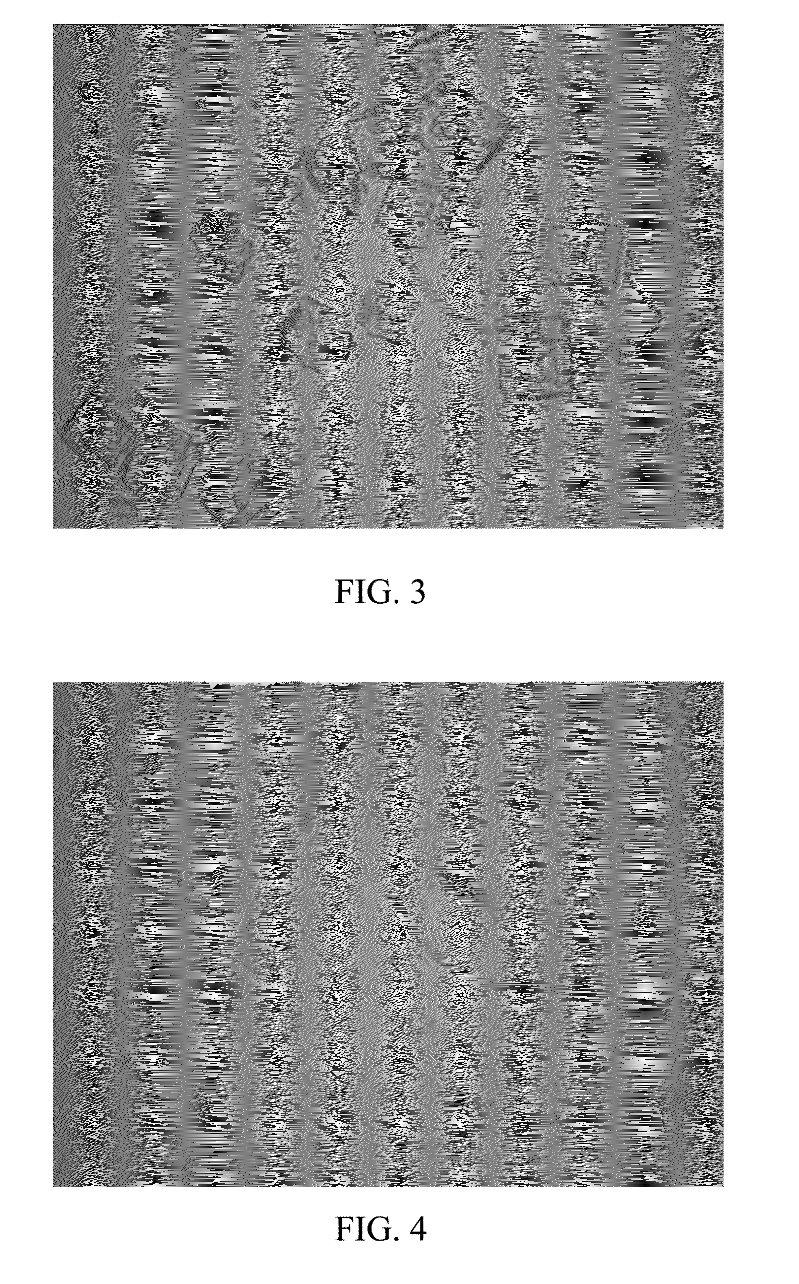 Liquid Compositions of Insoluble Drugs and Preparation Methods Thereof