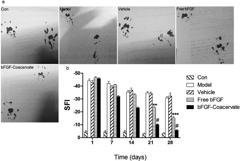 A kind of neurotrophin sustained-release coacervate for curing the peripheral nerve injury and its application thereof