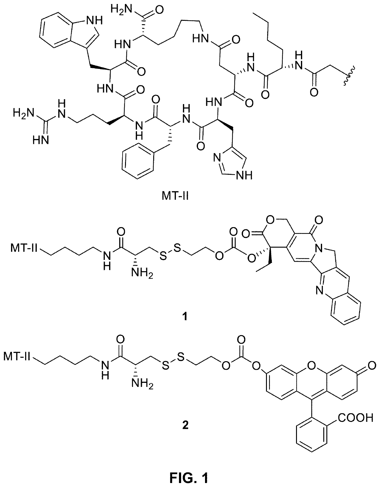 Conjugation of mcr1 ligand with cytotoxic drugs for treating skin cancer