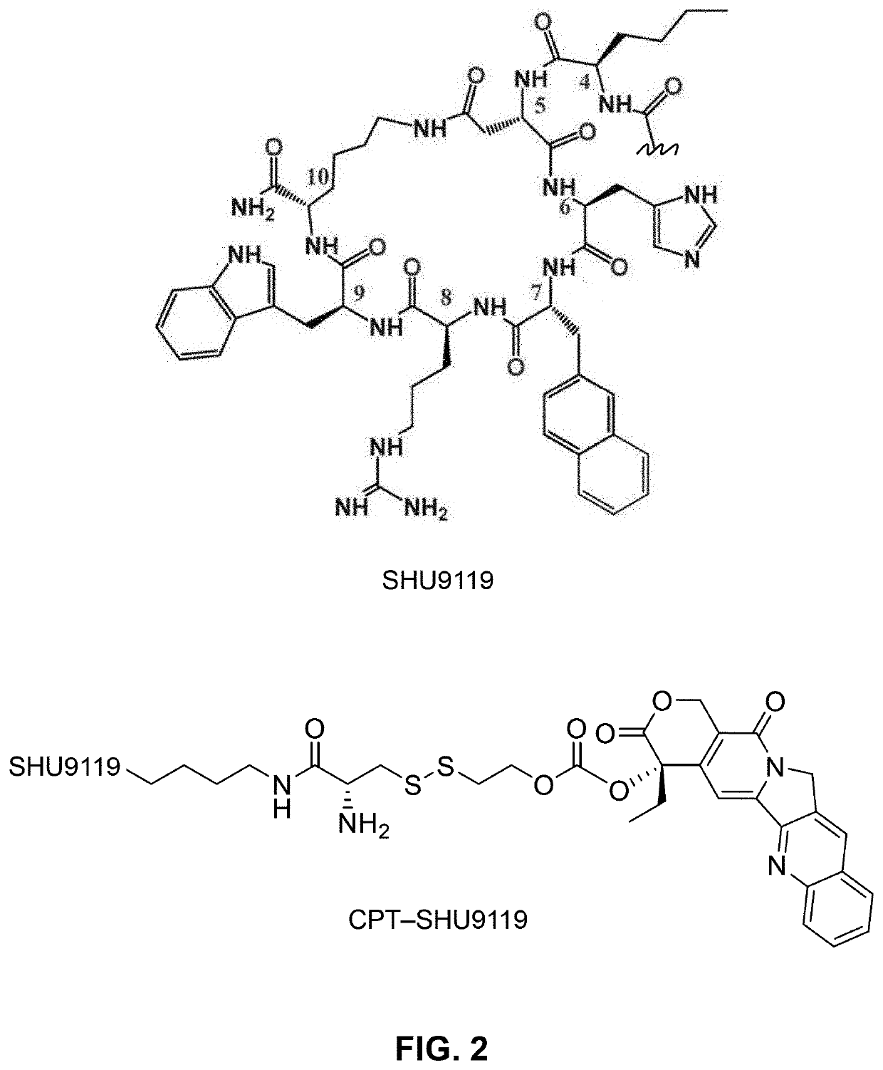 Conjugation of mcr1 ligand with cytotoxic drugs for treating skin cancer
