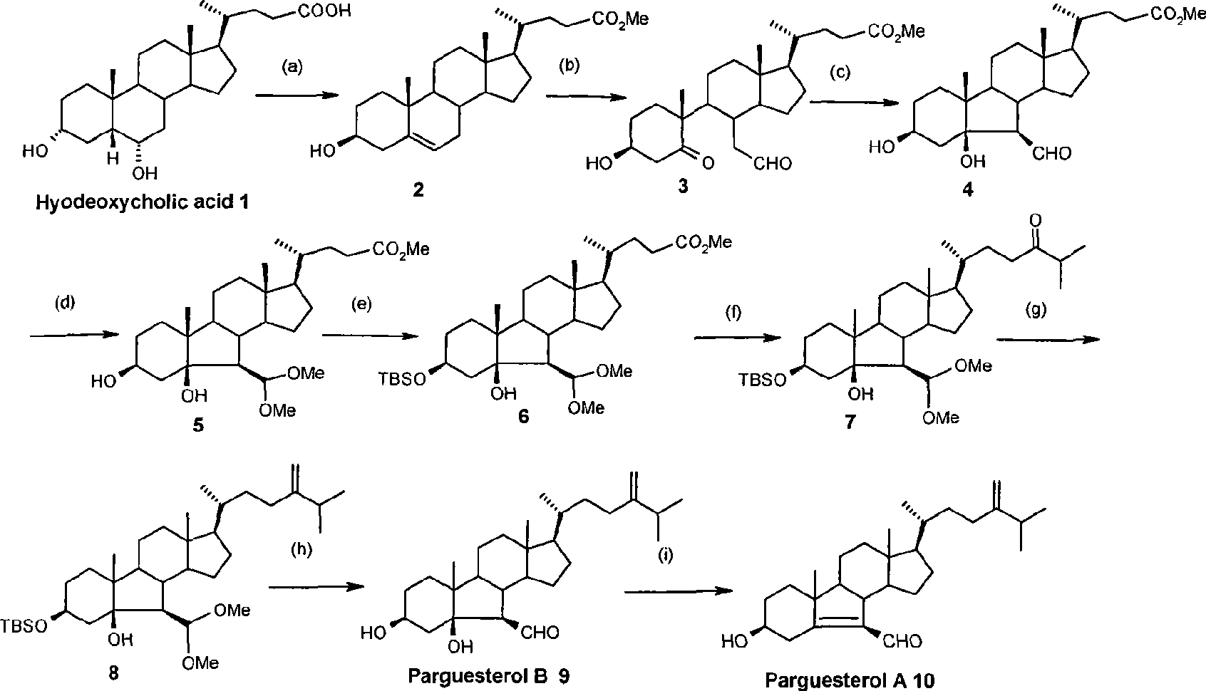 Synthesis of tuberculosis resistant compound of arguesterol