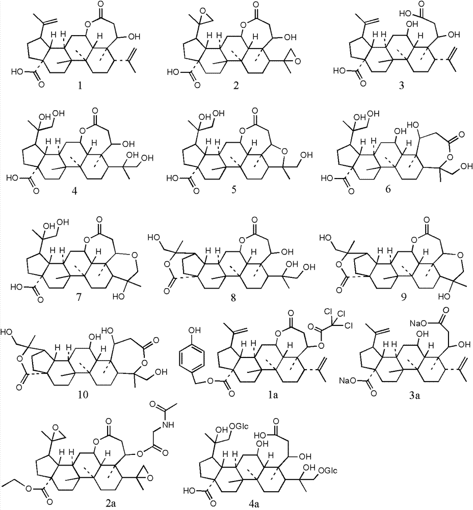 Split-ring lupinane derivatives and medicinal application thereof