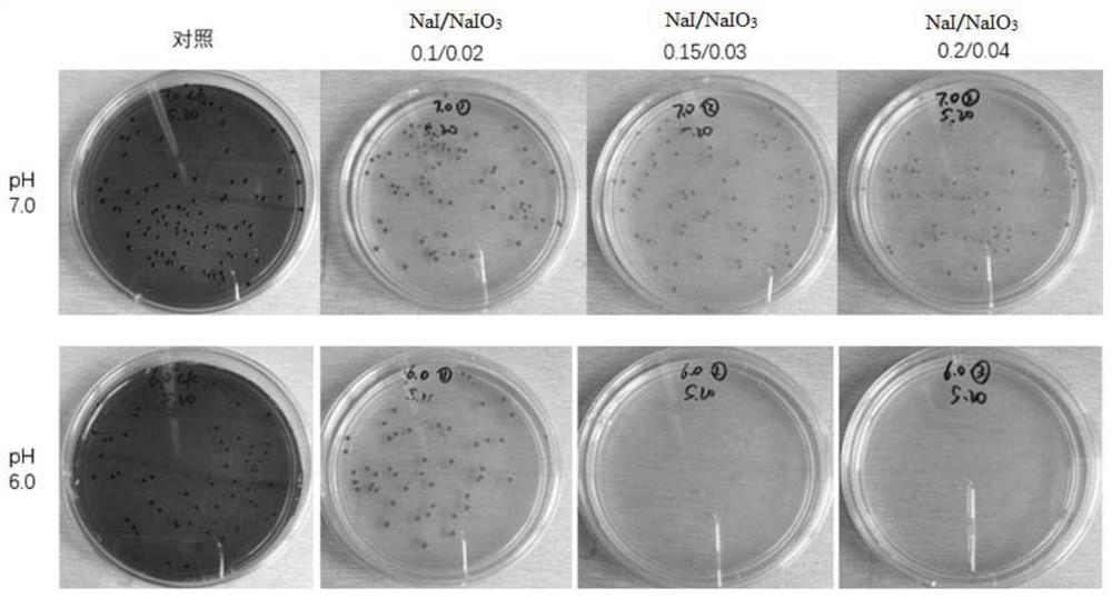 A method for improving the screening efficiency of high-yielding strains of keratin