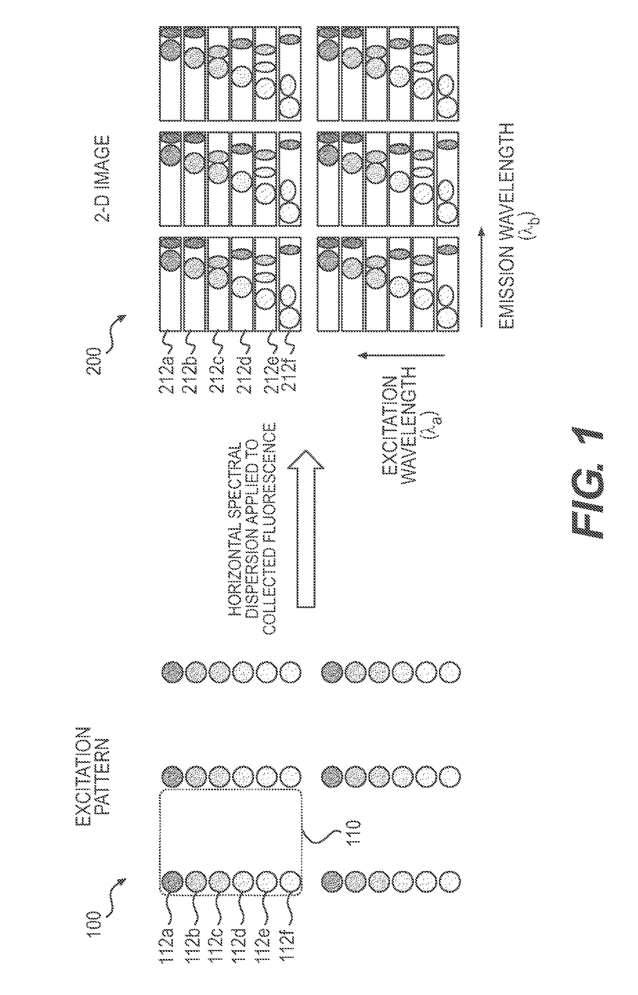 Systems and Methods for 4-D Hyperspectral Imaging