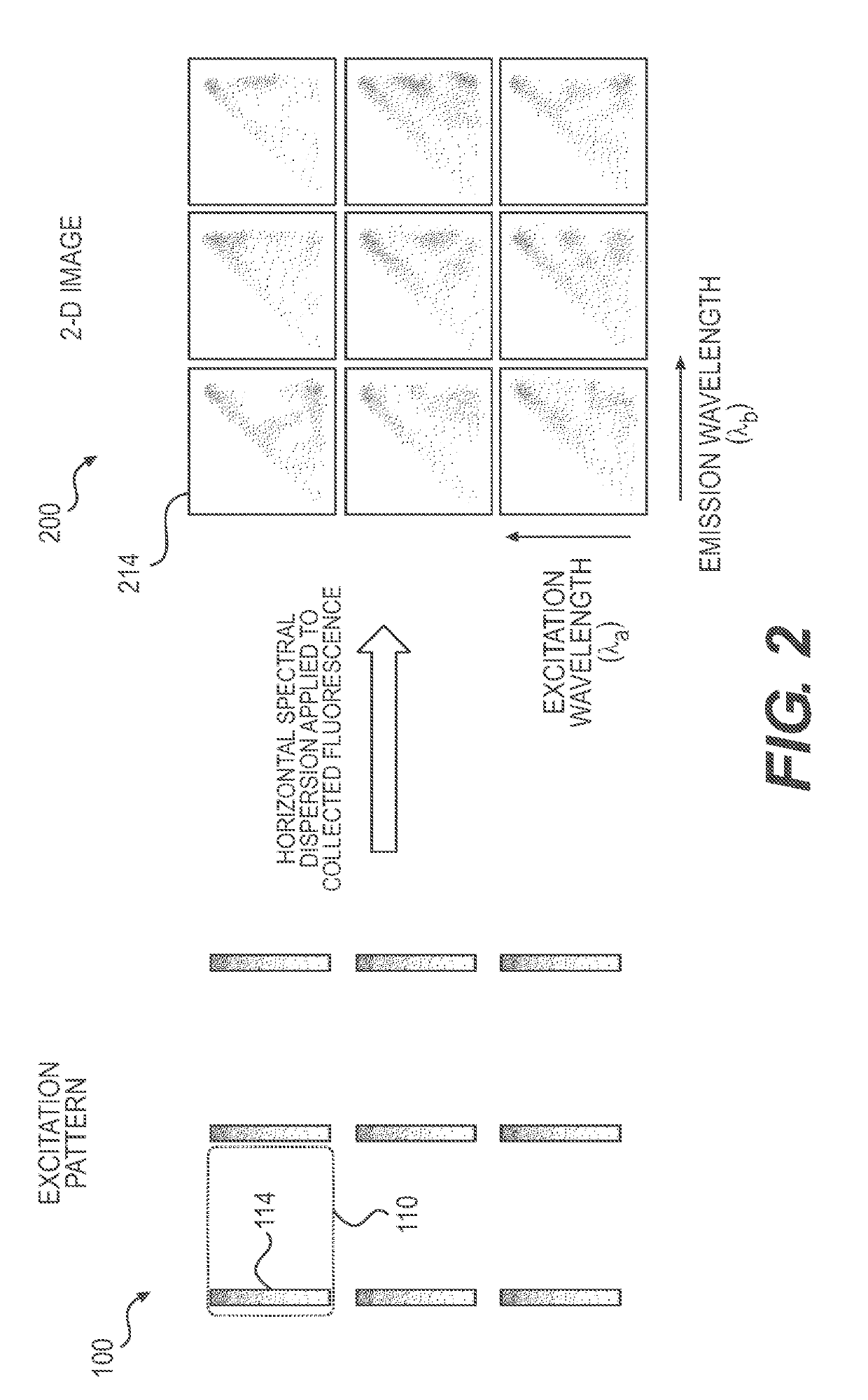 Systems and Methods for 4-D Hyperspectral Imaging