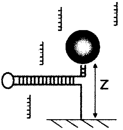 Process for detection of DNA modifications and protein binding by single molecule manipulation