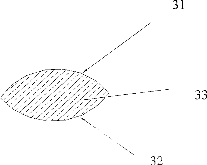 Focal-distance and view-field-adjusting liquid microlens and its production