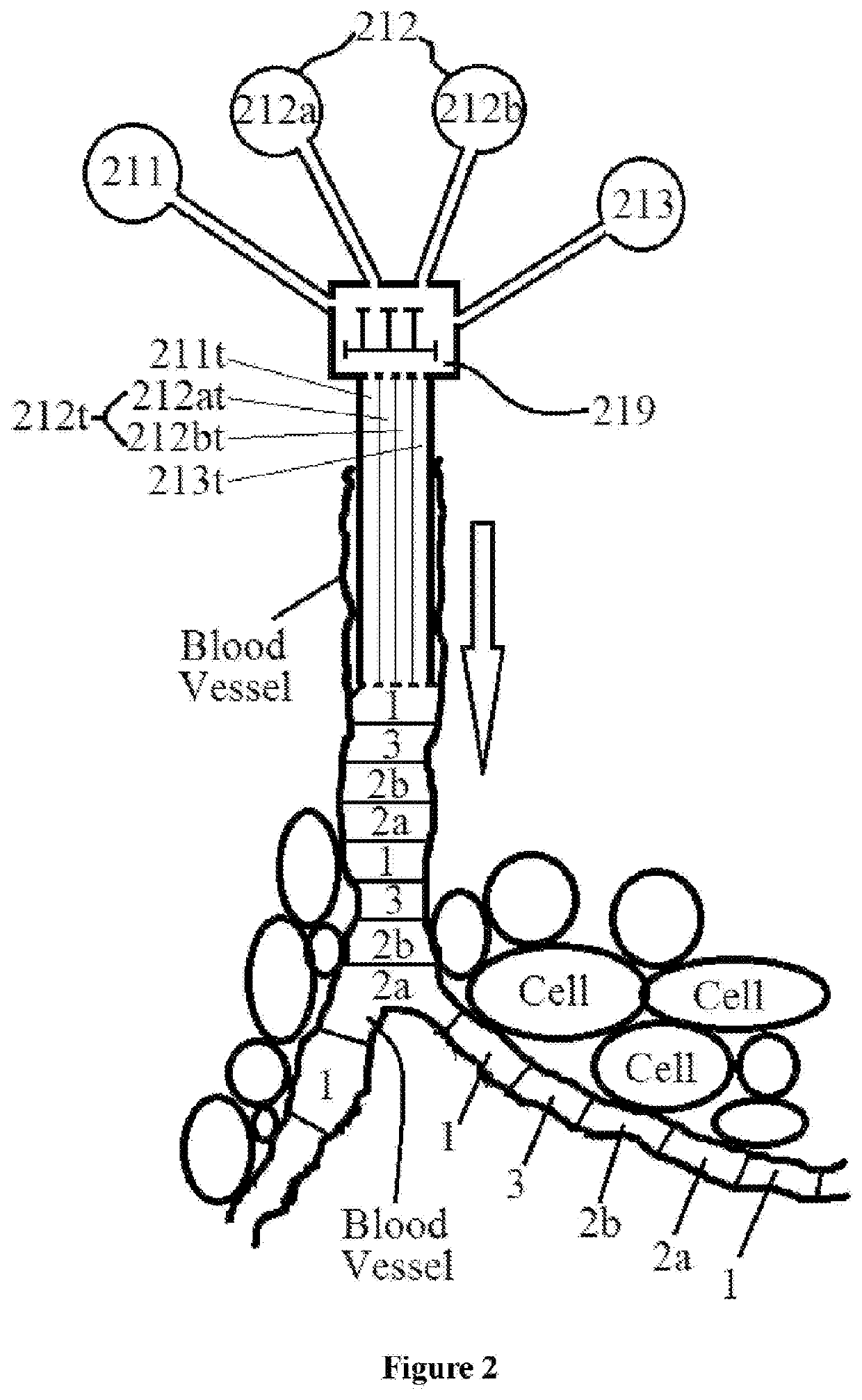 Train-like pharmaceutical configuration, apparatus for preparation and storage device thereof