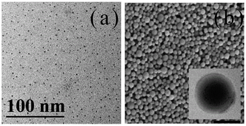Doped black phosphorus quantum dot thermal treatment syringeability bone cement as well as preparation and application thereof