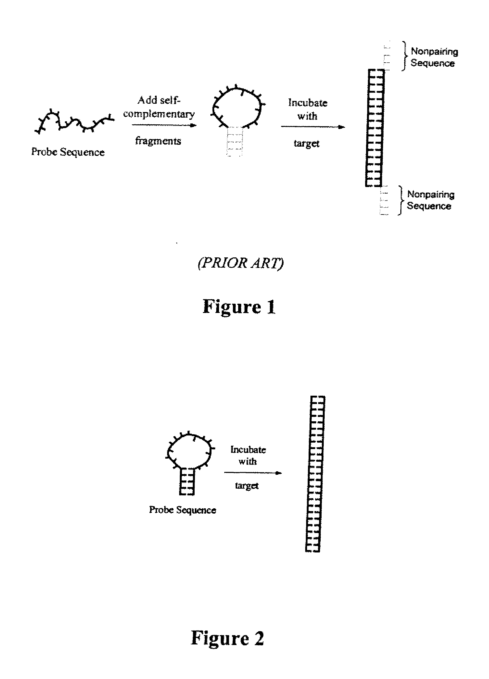 Method of identifying hairpin DNA probes by partial fold analysis