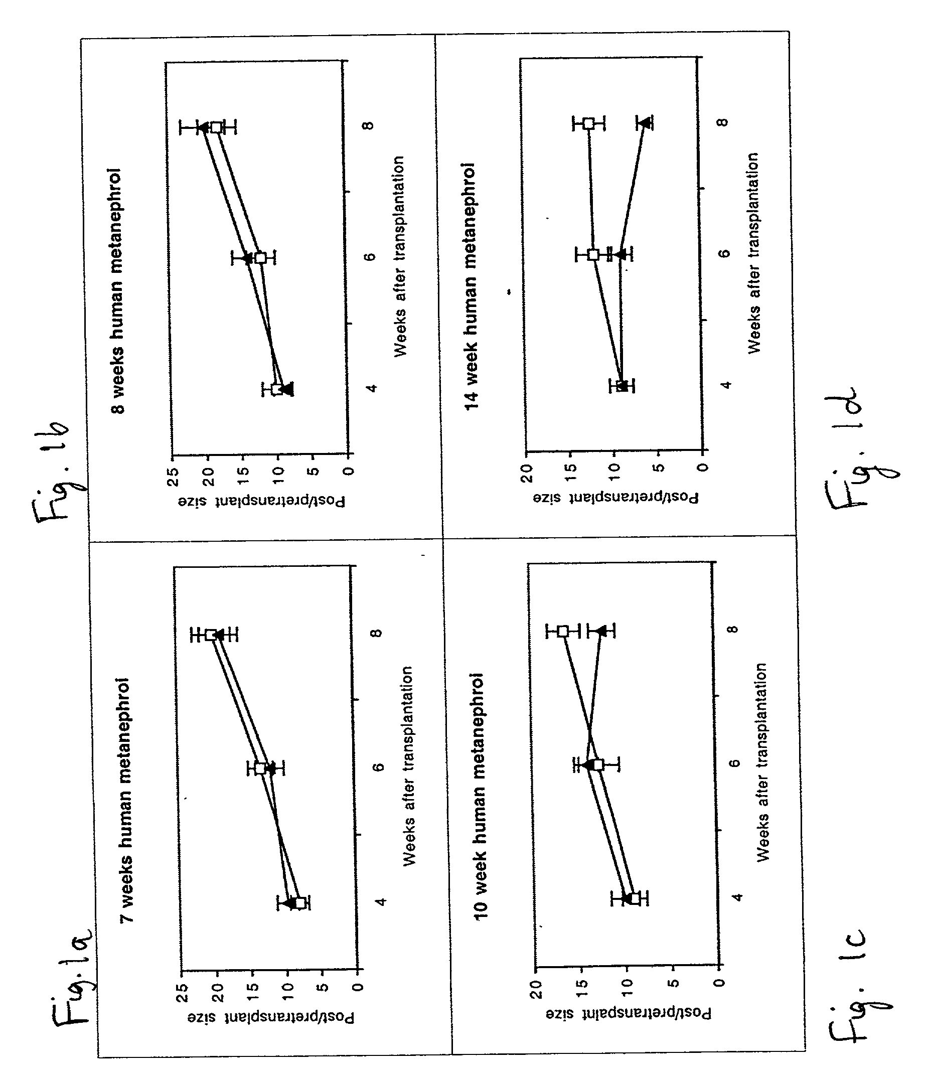 Methods of kidney transplantation utilizing developing nephric tissue